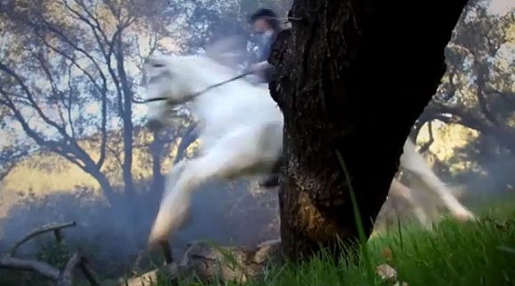 Jumping Over Tree Branch
