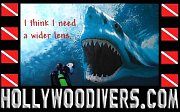 Hollywood Divers - Scuba Center